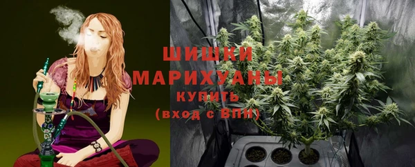 гашик Липки