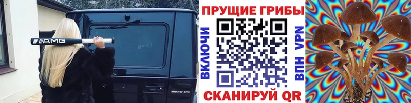 ОМГ ОМГ   Ногинск  Псилоцибиновые грибы GOLDEN TEACHER  цена наркотик 